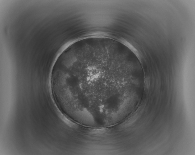 X0000110761482200906221112