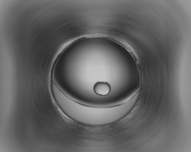 X0000110761485200906221112