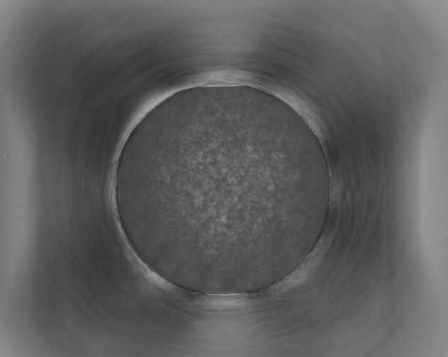 X0000110761486200906221112