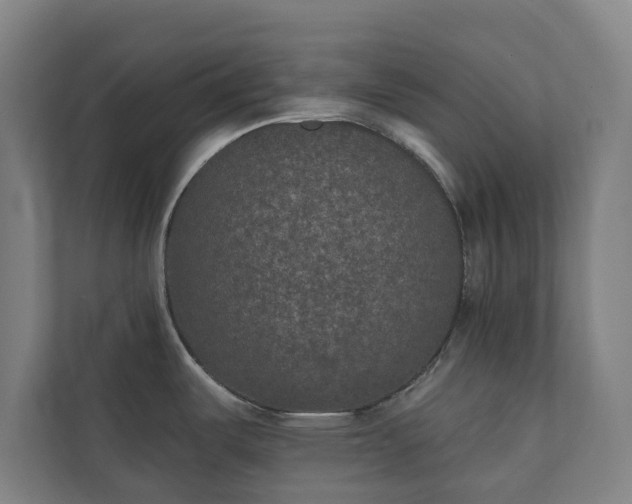 X0000110761487200906221112