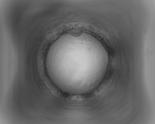 X0000110761489200906221111