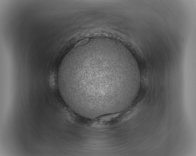 X0000110761490200906221111