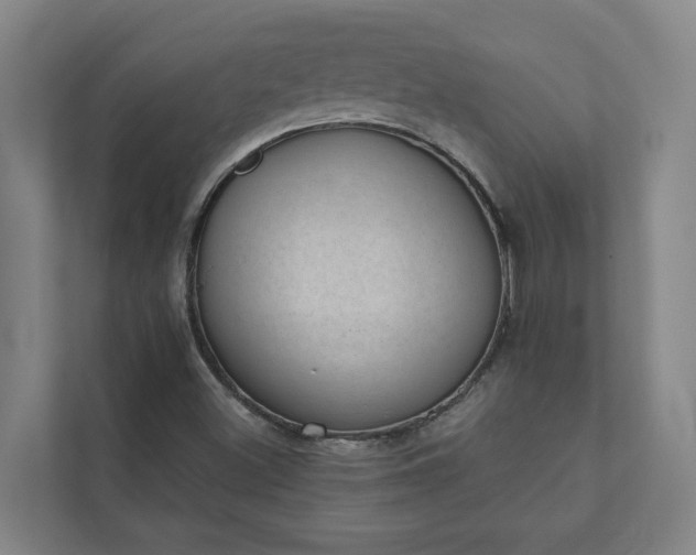 X0000110761500200906221111