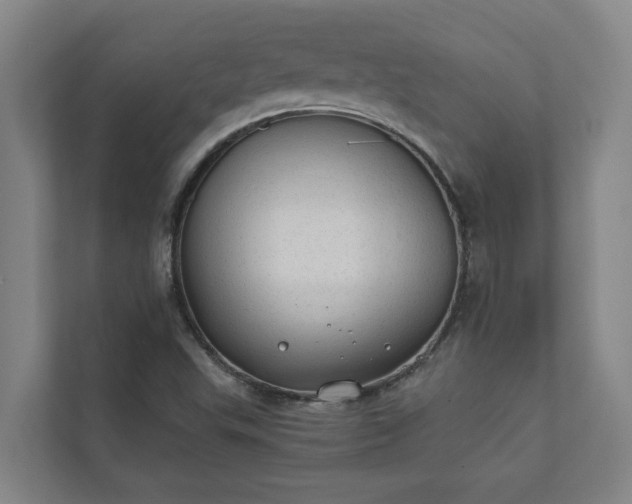 X0000110761503200906221111