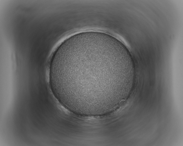 X0000110761504200906221111