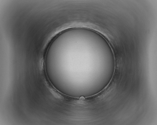 X0000110761507200906221112