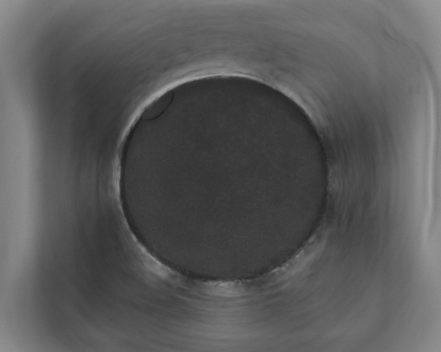 X0000110761508200906221112