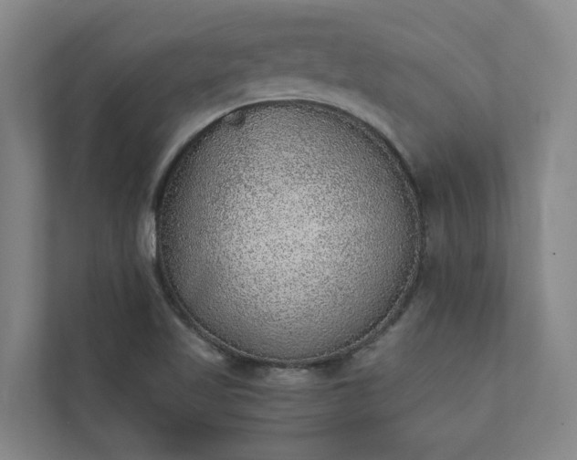 X0000110761509200906221112