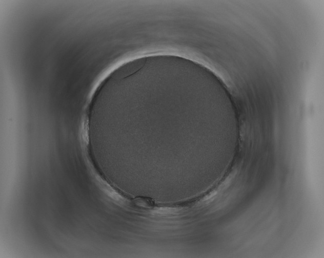 X0000110761510200906221112