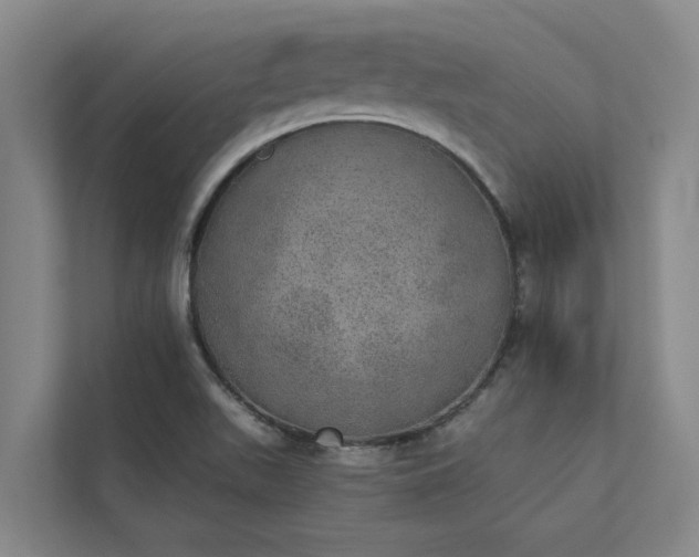 X0000110761511200906221112