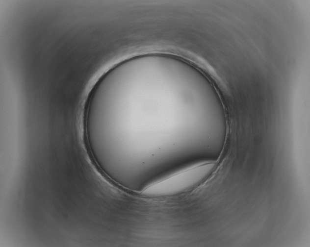 X0000110761512200906221112