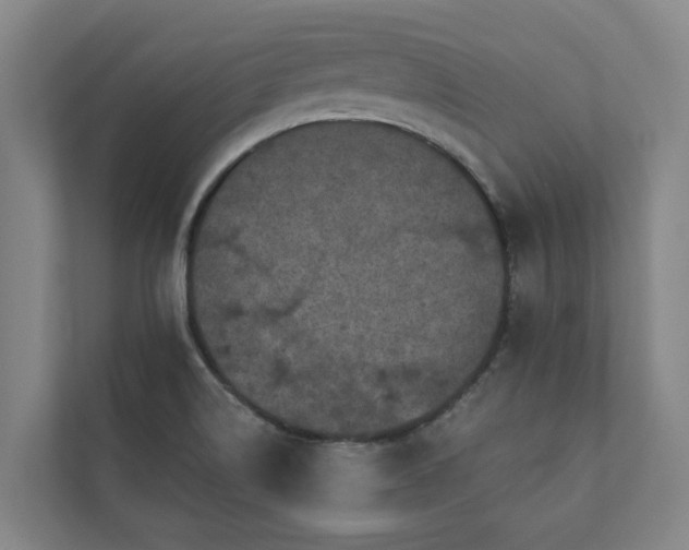 X0000110761514200906221112
