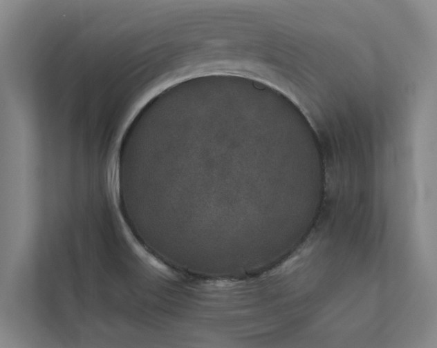 X0000110761515200906221112