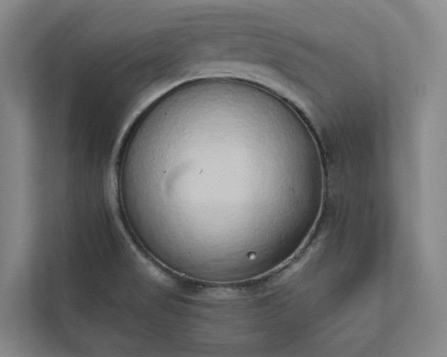 X0000110761517200906221112