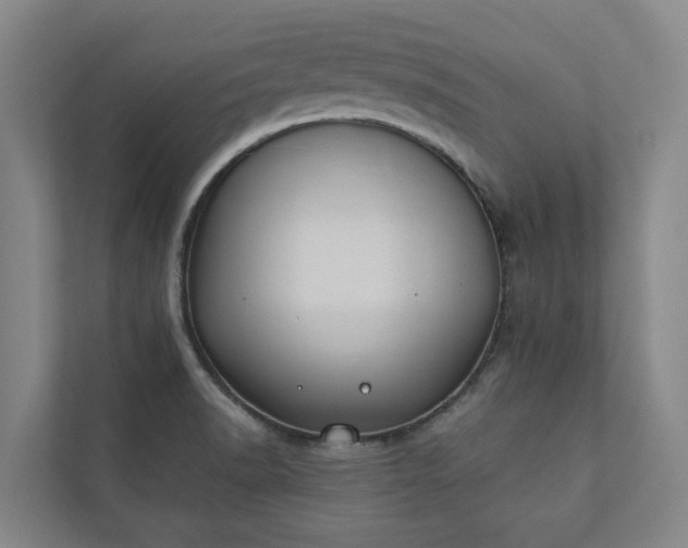 X0000110761518200906221112