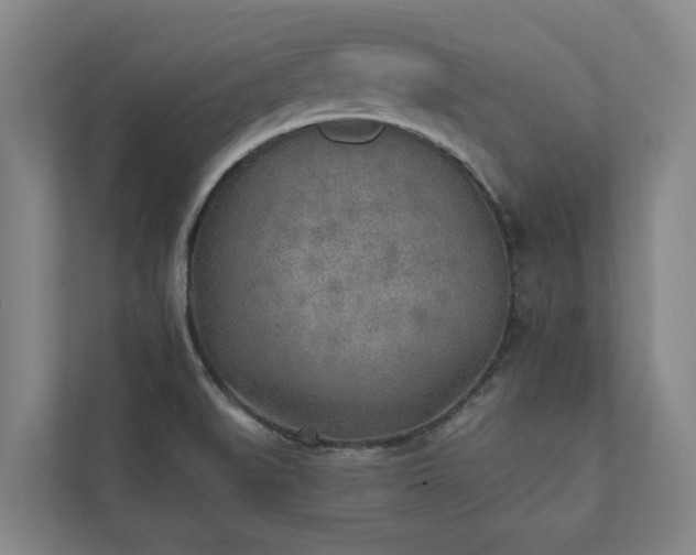 X0000110761519200906221112