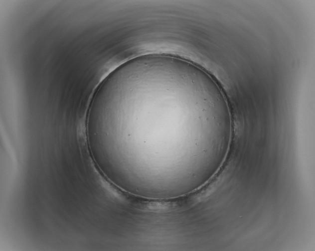 X0000110761521200906221112