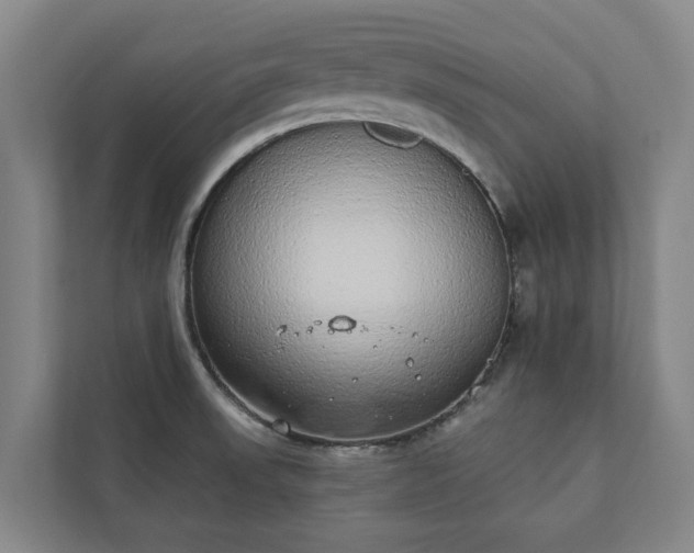 X0000110761523200906221112
