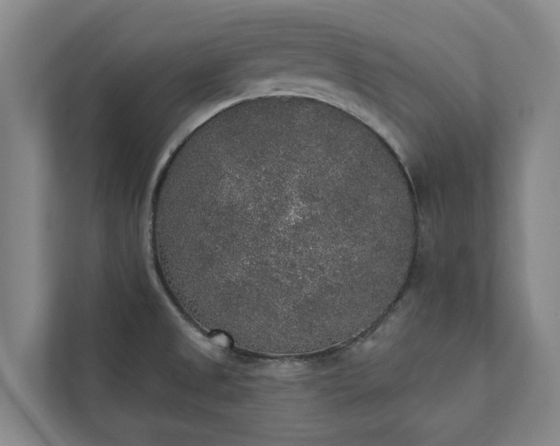 X0000110761525200906221112