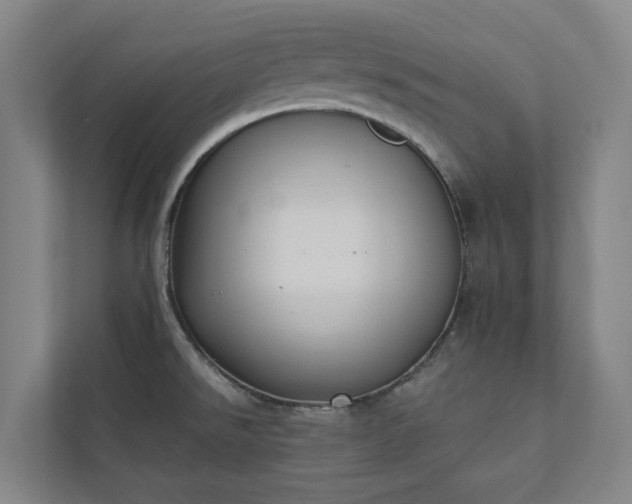 X0000110761526200906221112