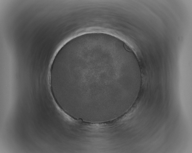 X0000110761527200906221112