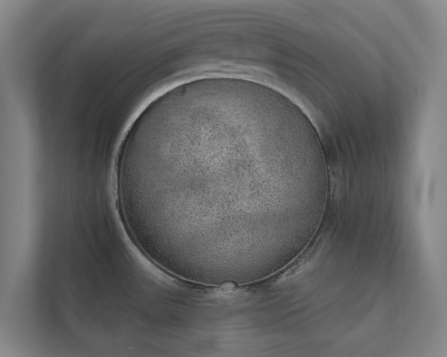 X0000110761531200906221112