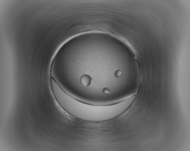 X0000110761532200906221112