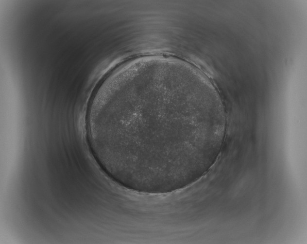 X0000110760002200906291037