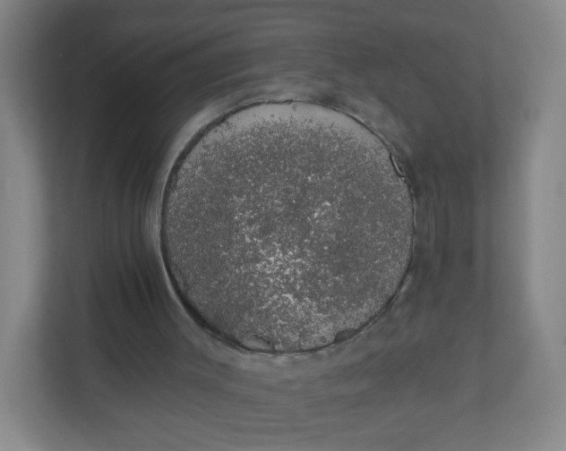 X0000110760003200906291037