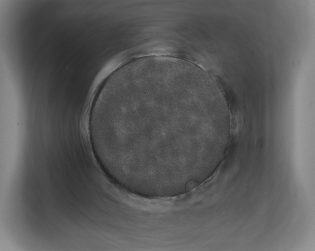 X0000110760004200906291037