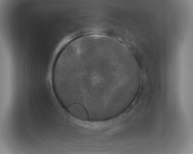 X0000110760006200906291037