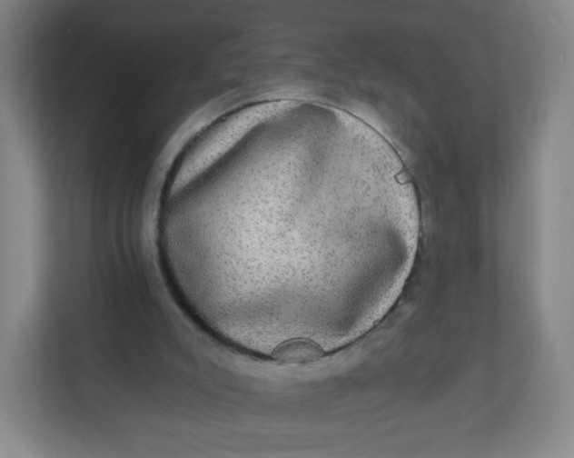 X0000110760007200906291037