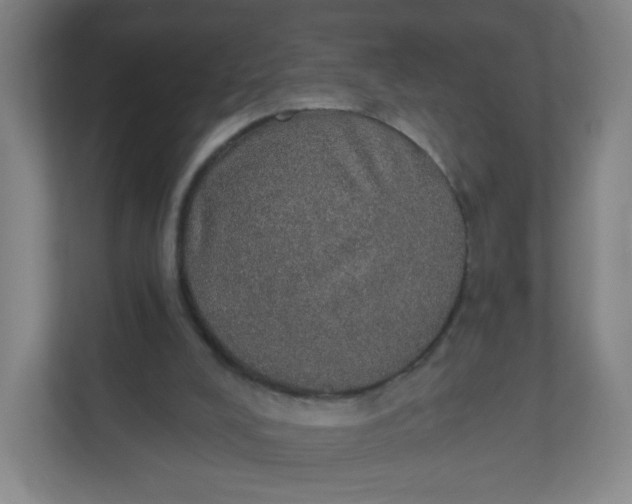 X0000110760008200906291037