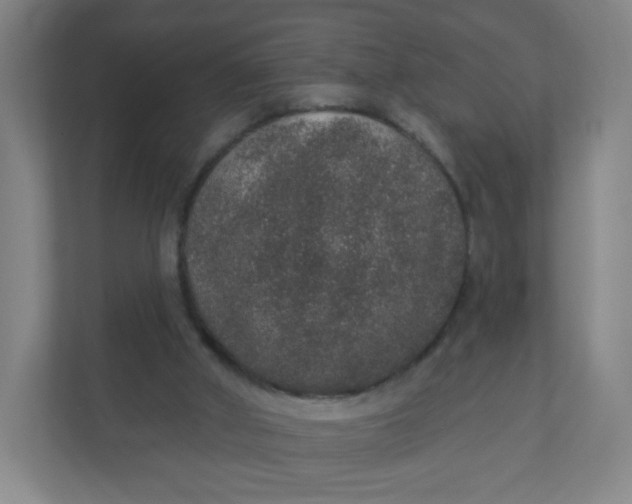 X0000110760010200906291037