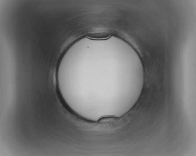 X0000110760011200906291037