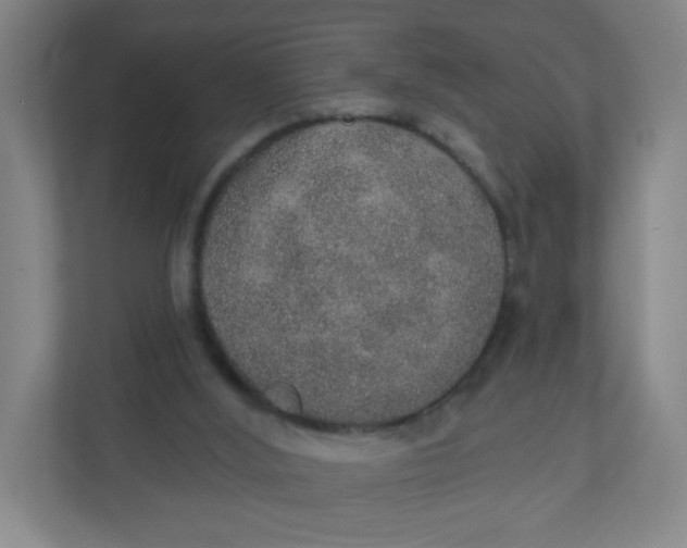 X0000110760012200906291037