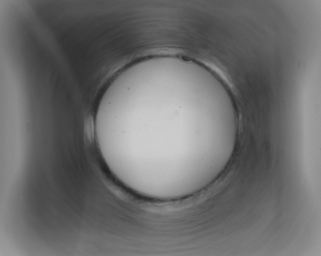 X0000110760013200906291037