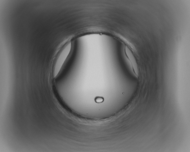 X0000110760015200906291037