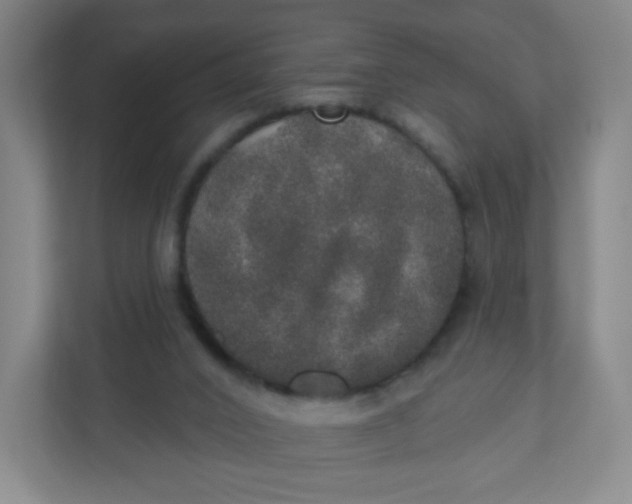 X0000110760016200906291037