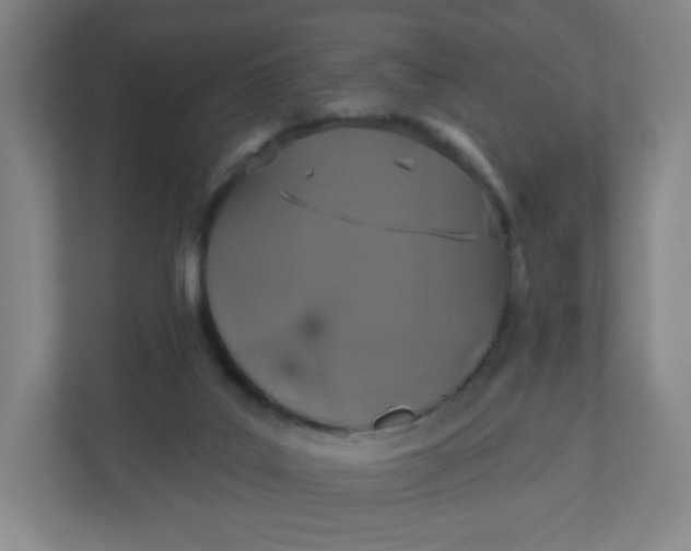 X0000110760019200906291037