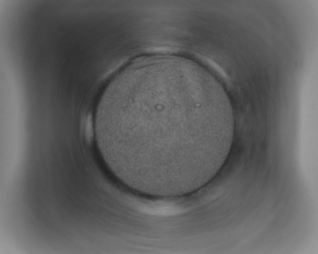 X0000110760020200906291037