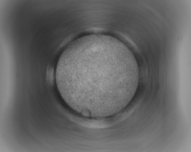 X0000110760024200906291037