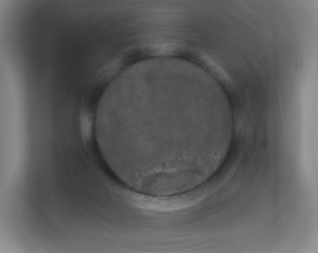 X0000110760026200906291037