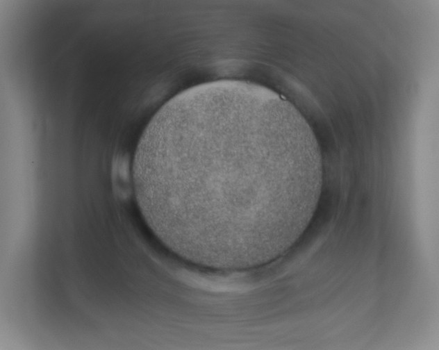 X0000110760028200906291037