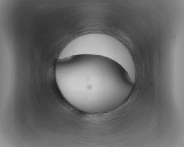 X0000110760029200906291037