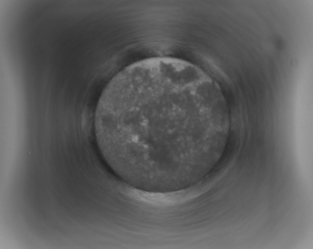 X0000110760030200906291037