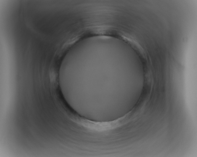 X0000110760031200906291037