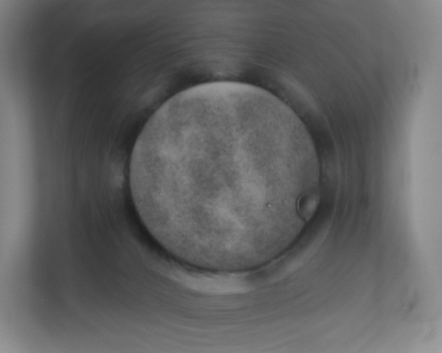 X0000110760032200906291037