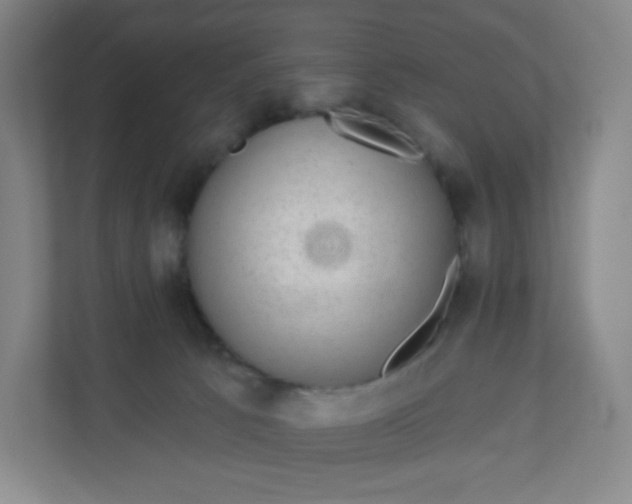 X0000110760033200906291037