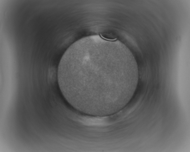 X0000110760036200906291037